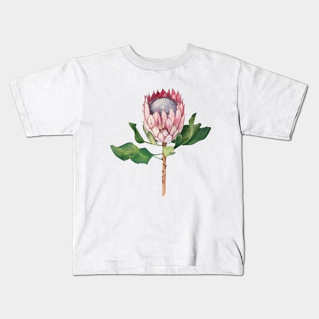 Watercolor protea flower Kids T-Shirt by InnaPatiutko